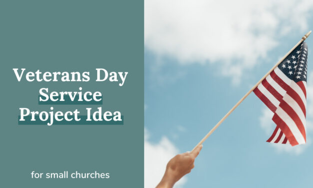Veterans Day Service Project Idea