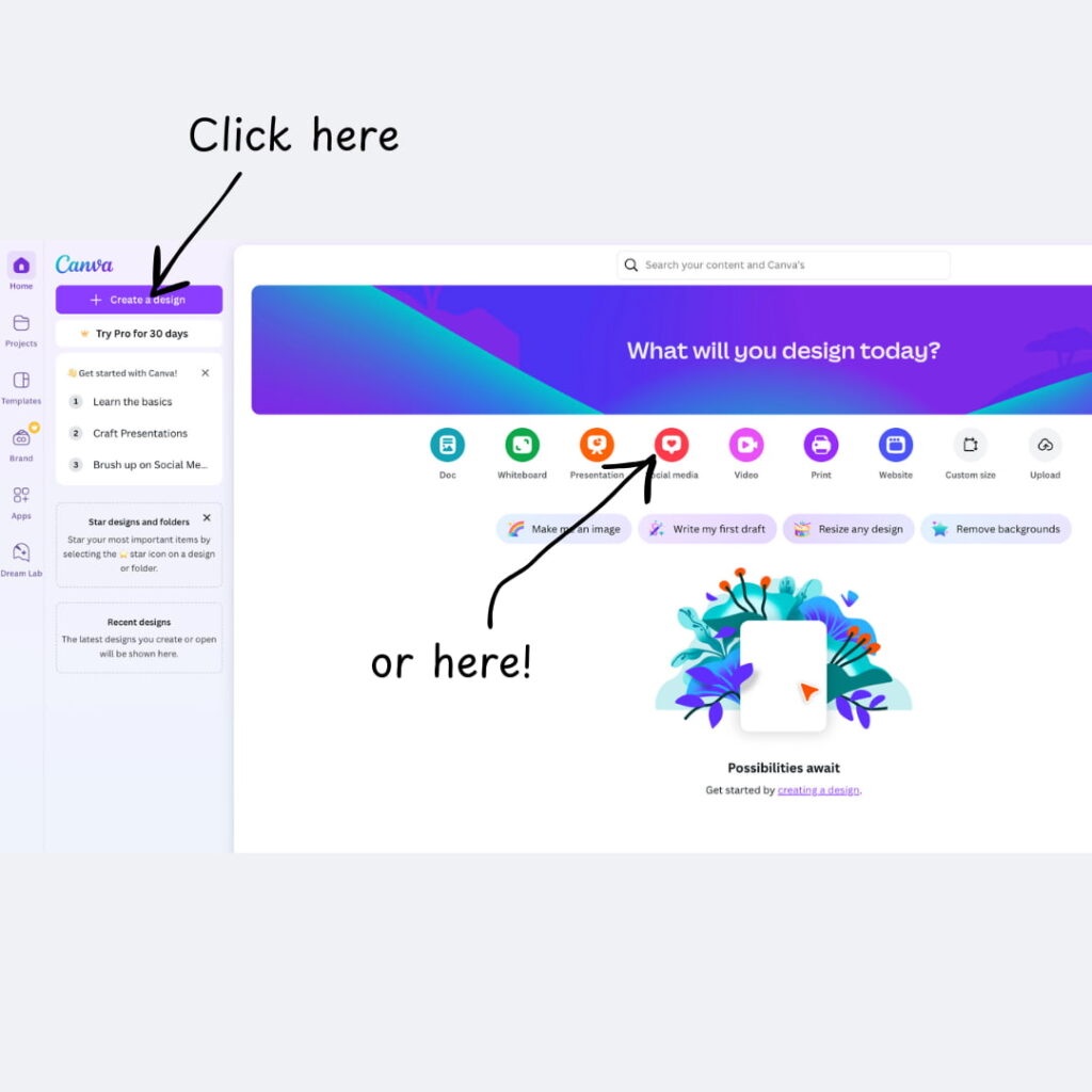 Showing where to click when trying to design social media content in Canva.